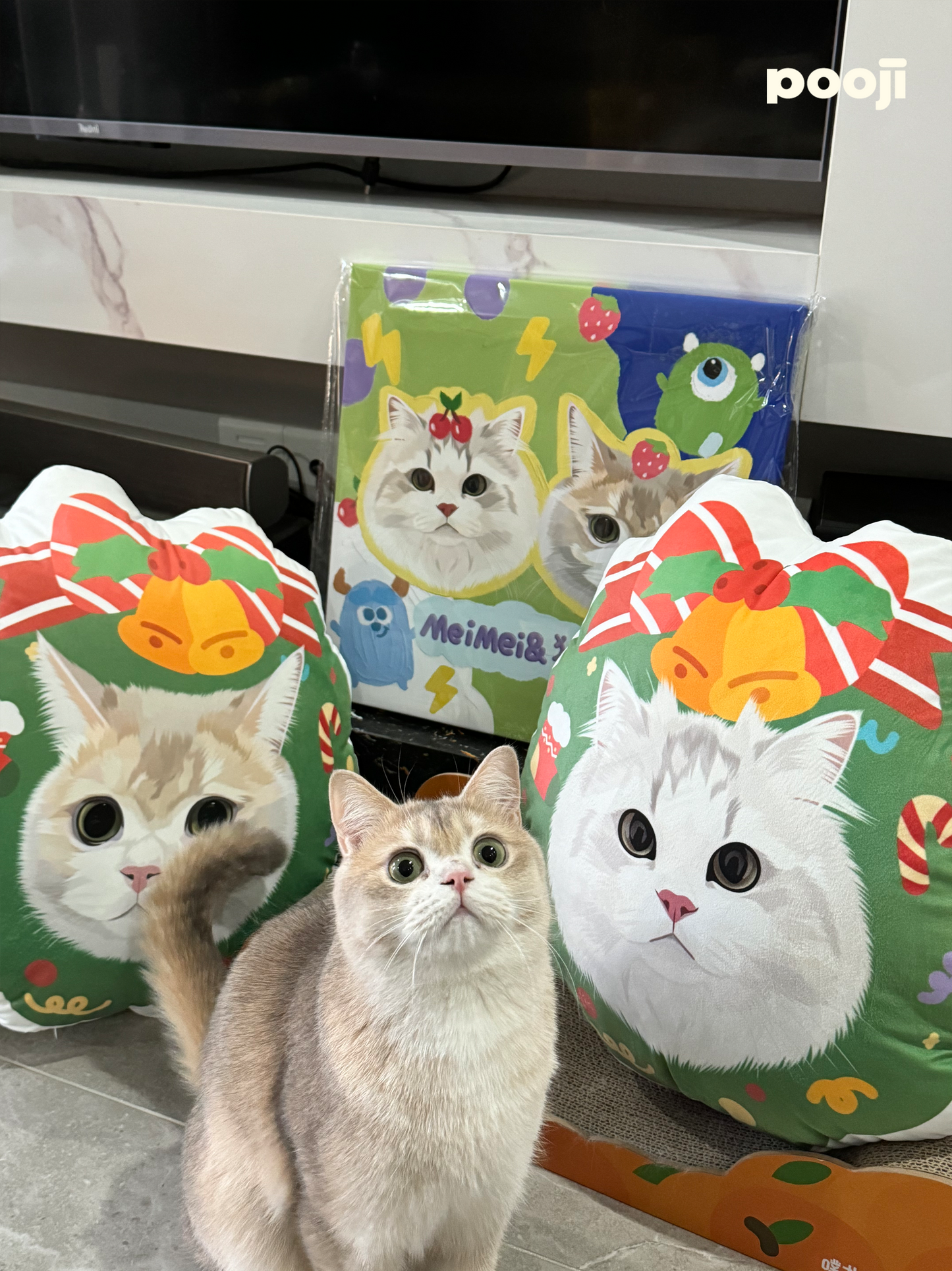 Pooji - Custom Pet Portrait Pillow
