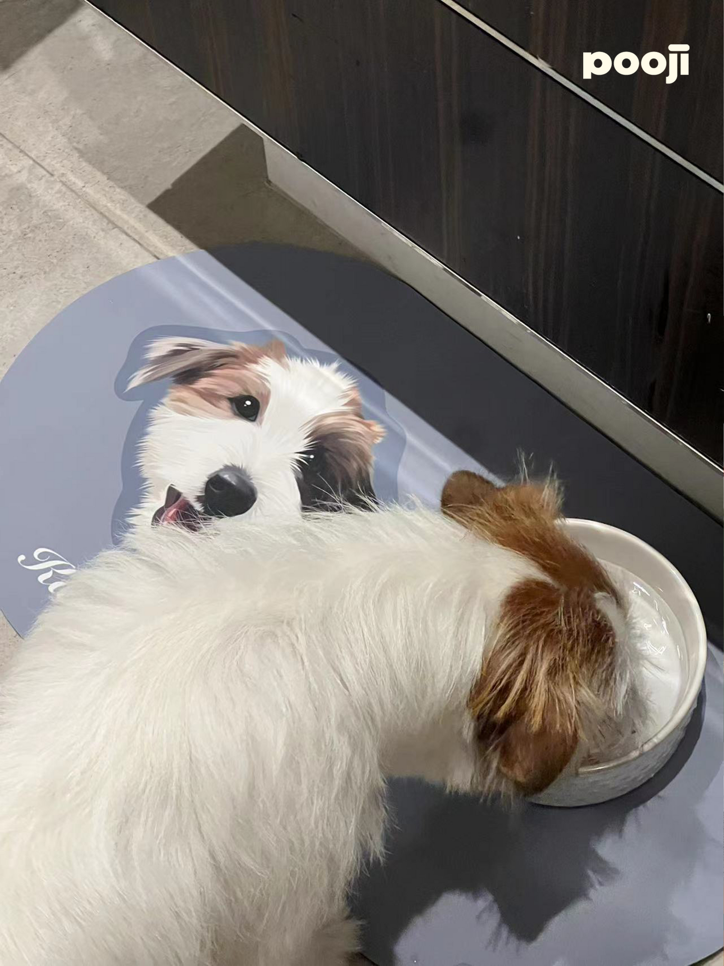 Pooji - Custom Pet Placemat Table Mat