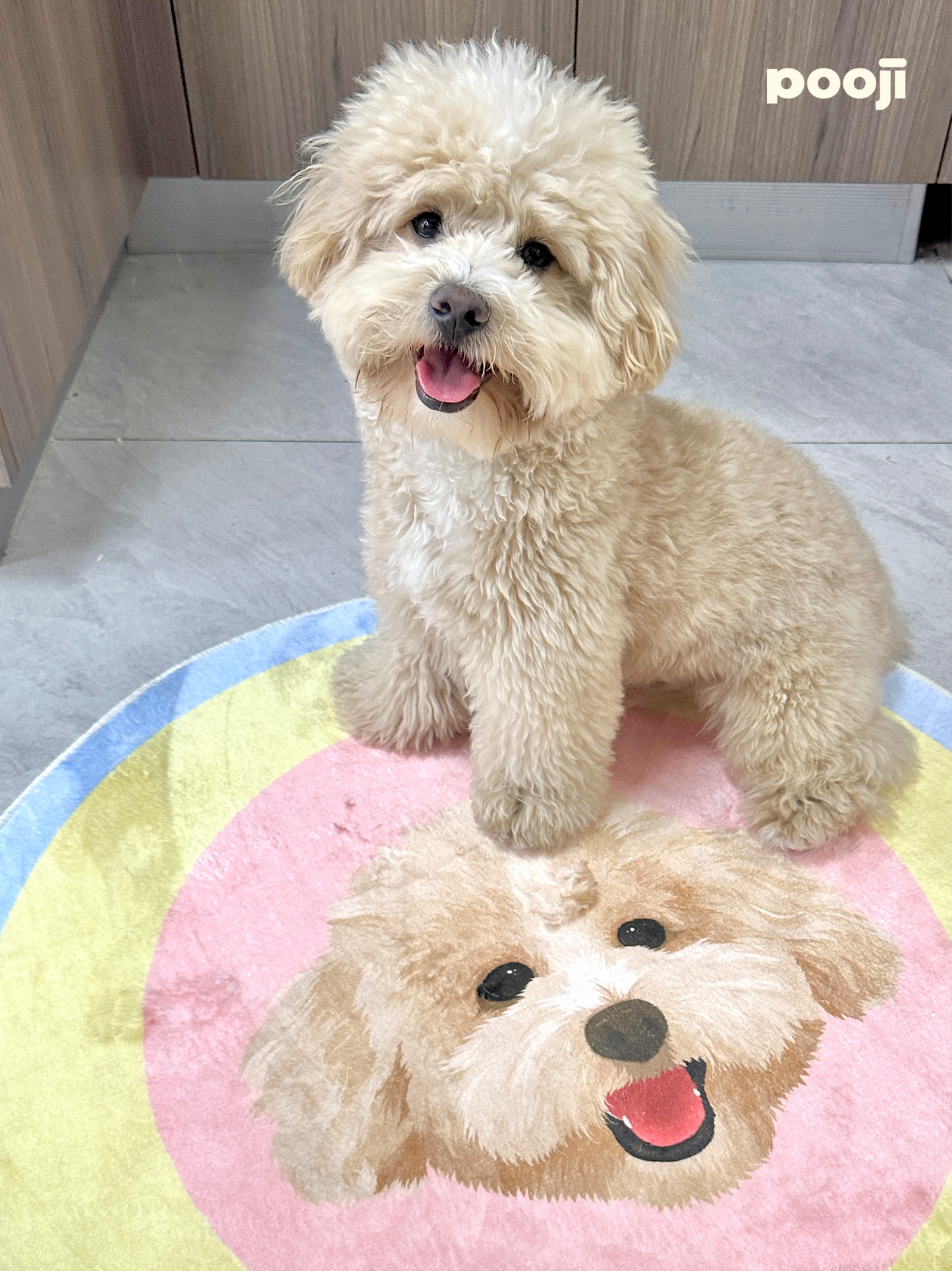 Pooji - Custom Pet Portrait Rug - Round