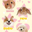 Customized Pet Portrait Blanket