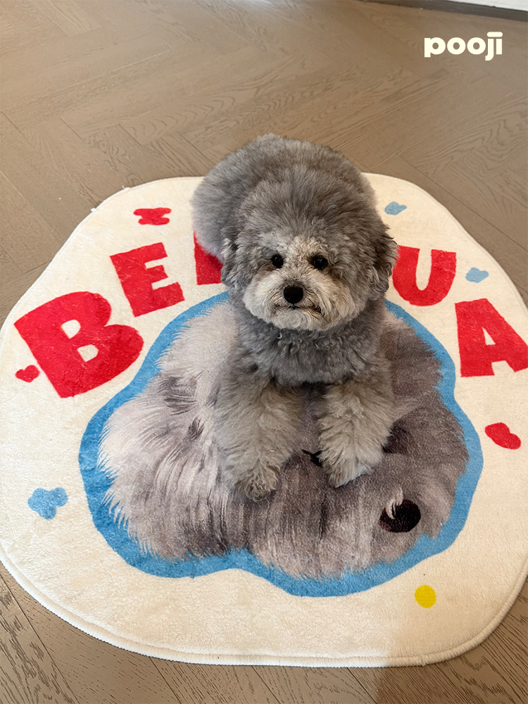 Pooji - Custom Pet Portrait Rug - Silhouette