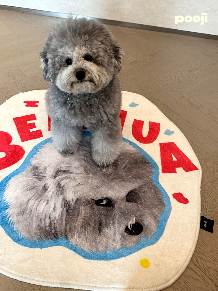 Pooji - Custom Pet Portrait Rug - Silhouette