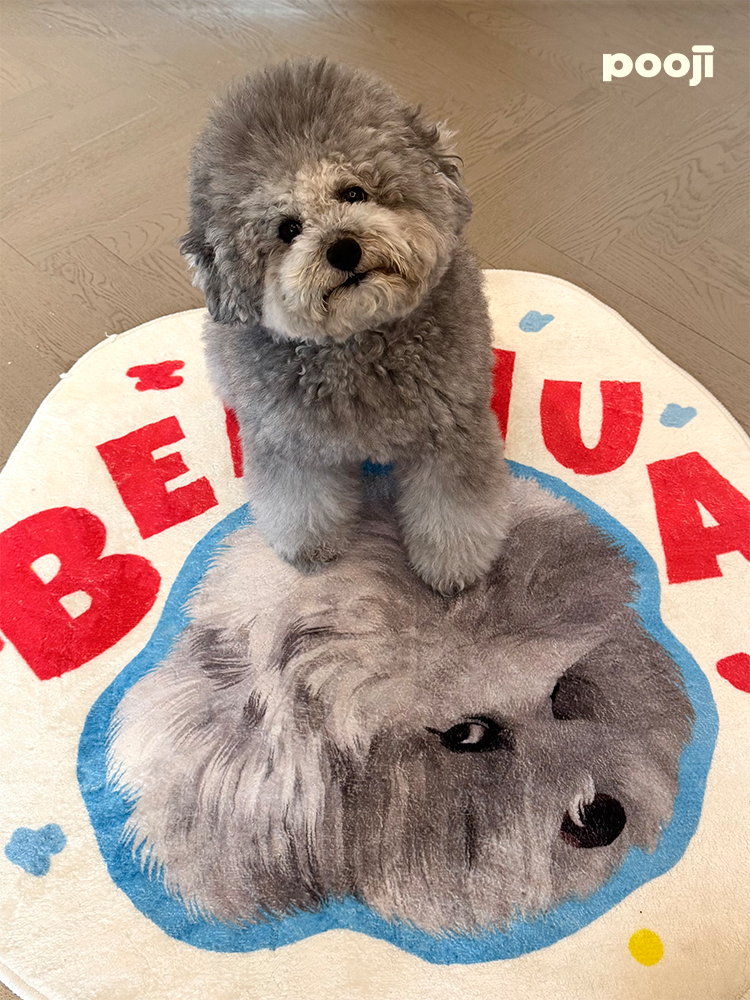 Pooji - Custom Pet Portrait Rug - Silhouette