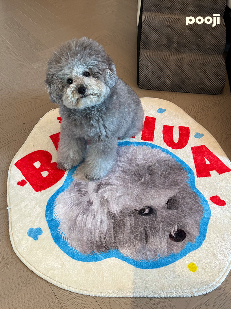 Pooji - Custom Pet Portrait Rug - Silhouette