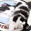 Pooji - Custom Pet Portrait Rug - Round