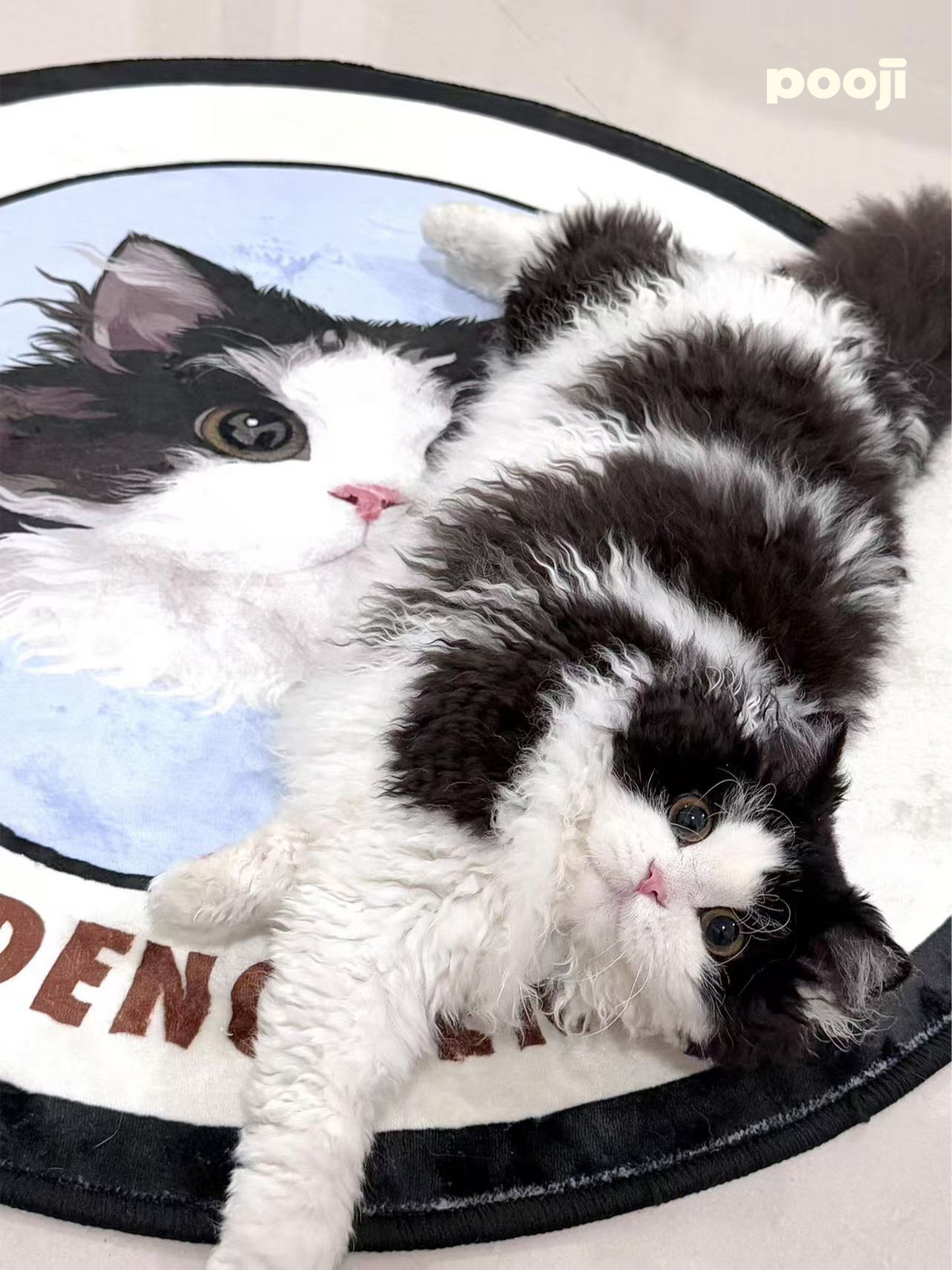 Pooji - Custom Pet Portrait Rug - Round