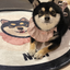 Pooji - Custom Pet Portrait Rug - Round