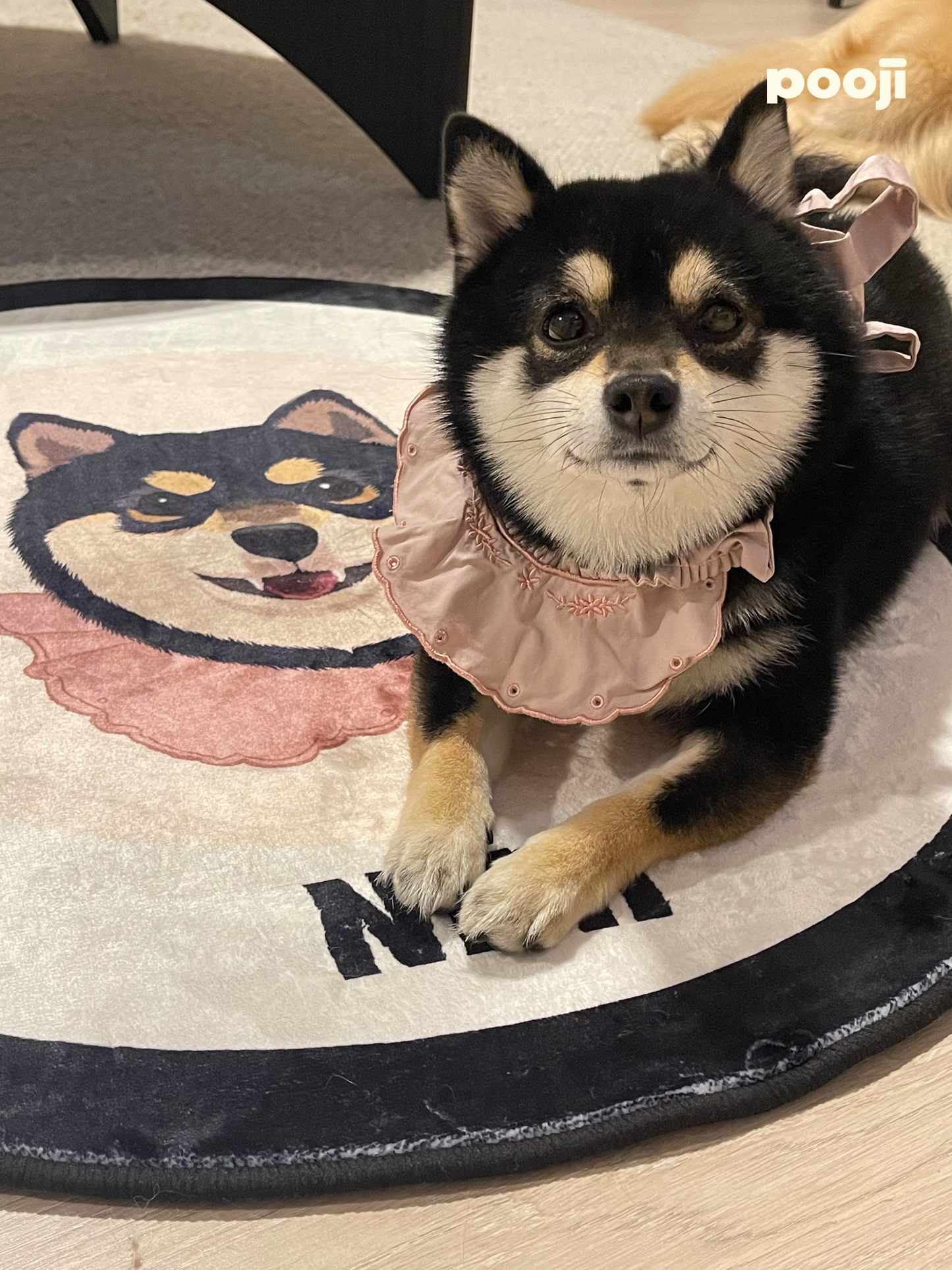 Pooji - Custom Pet Portrait Rug - Round