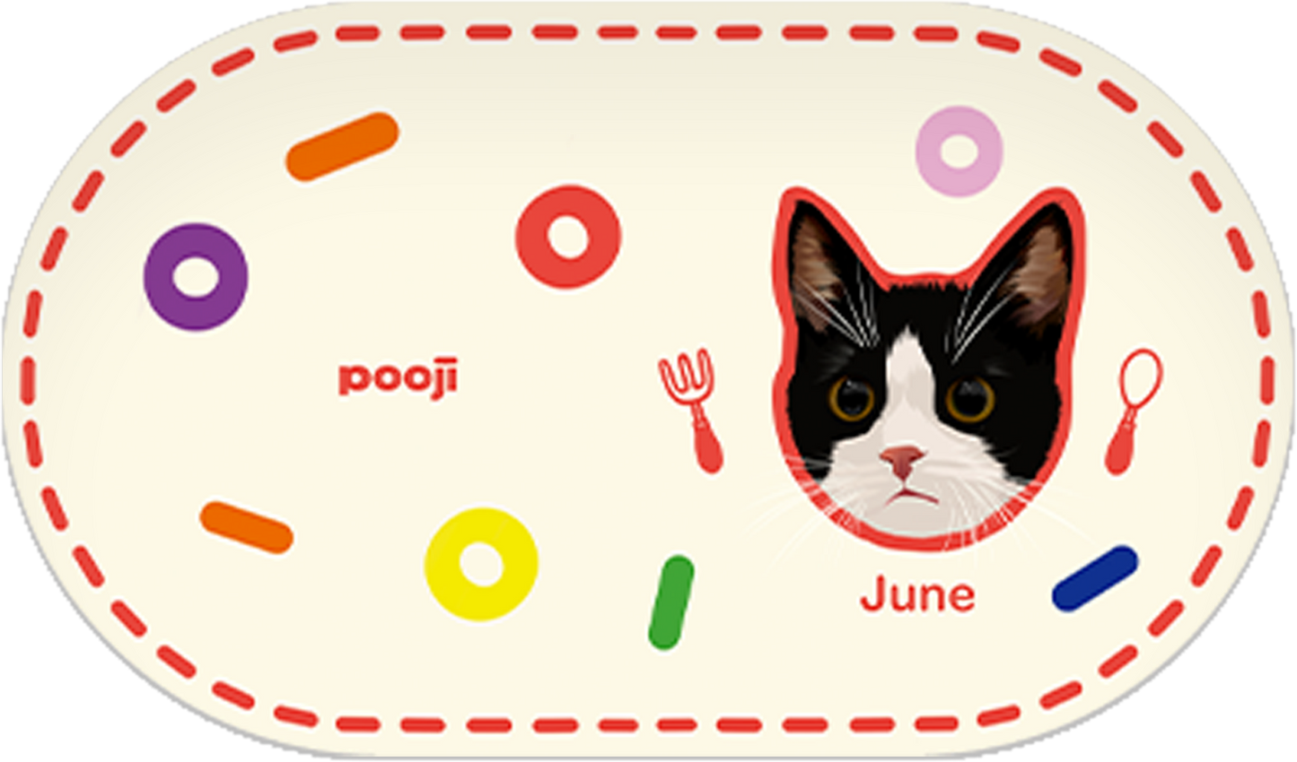 Pooji - Custom Pet Placemat Table Mat