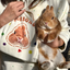 Pooji - Customize Pet Wrist Bag Handbag