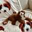 Pooji - Custom Pet Printed Blanket