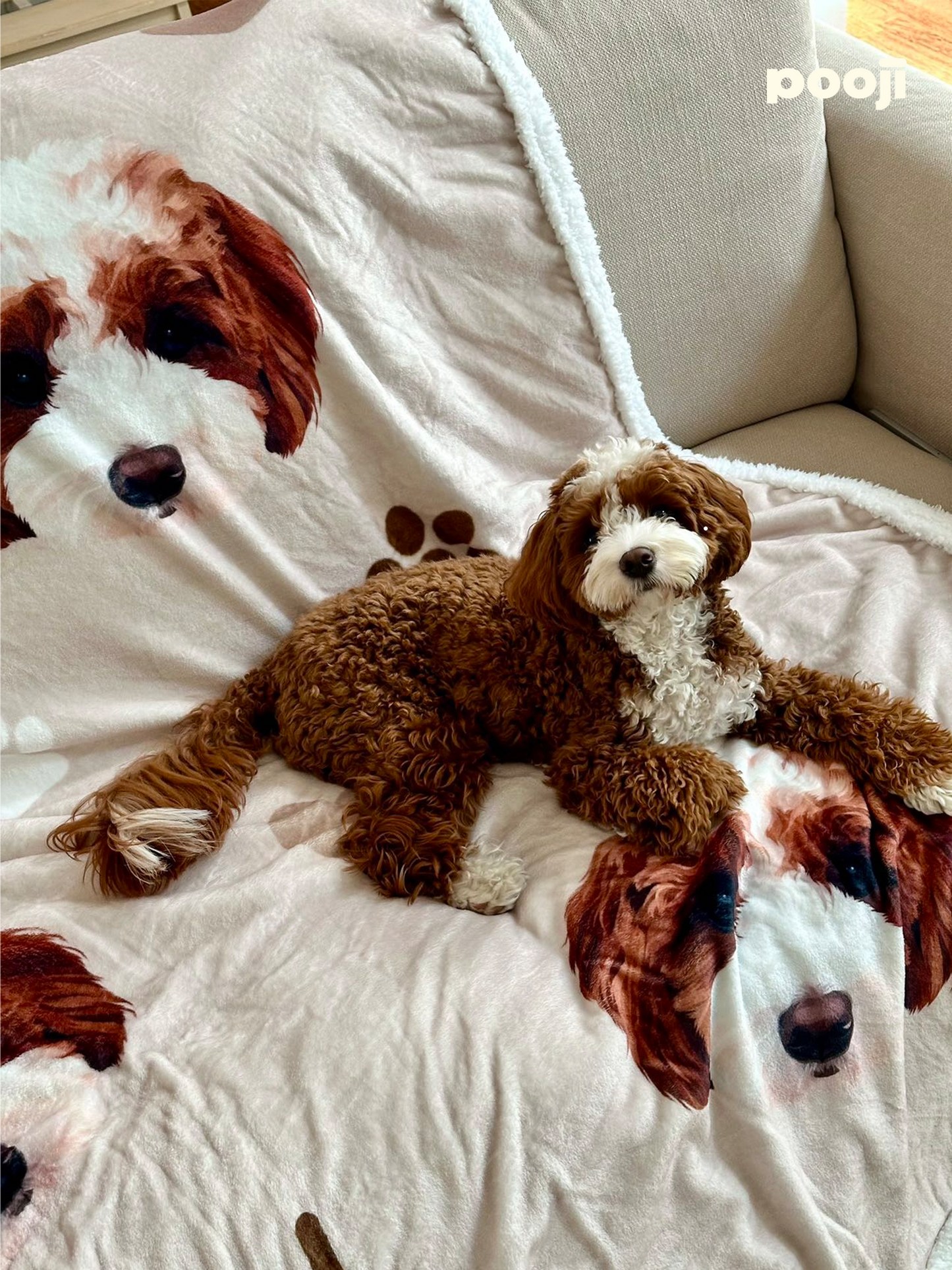 Pooji - Custom Pet Printed Blanket