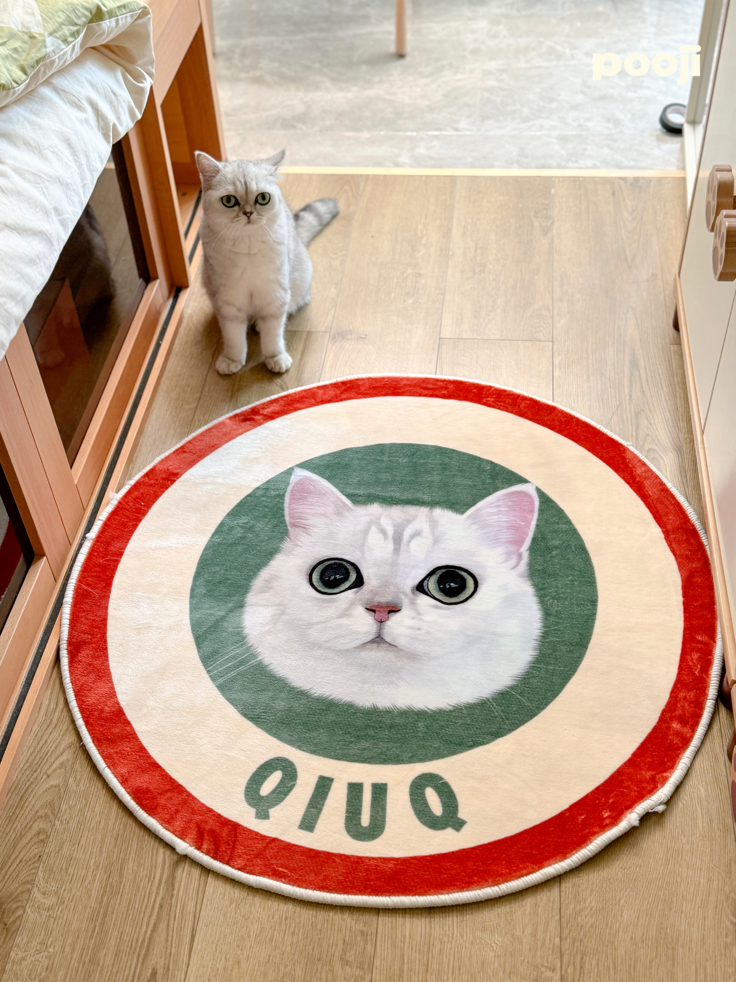 Pooji - Custom Pet Portrait Rug - Round