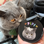 Pooji - Custom Pet Portrait Luggage Tag