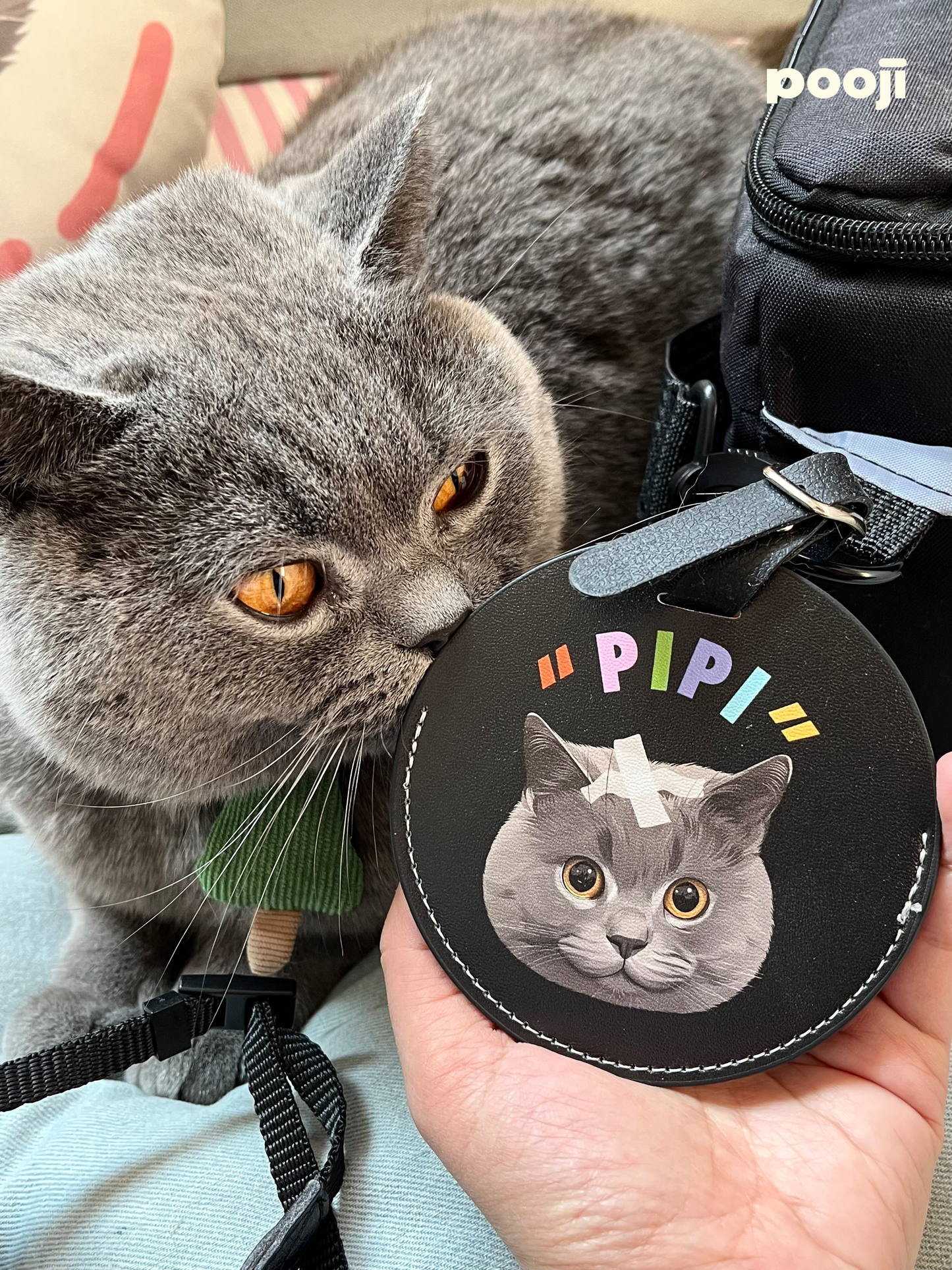 Pooji - Custom Pet Portrait Luggage Tag