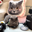 Pooji - Custom Pet Portrait Luggage Tag