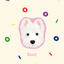 Pooji - Custom Pet Printed Blanket