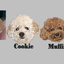 Customized Pet Portrait Embroidery T Shirt - 1 Portrait
