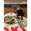 Pooji - Custom Pet Portrait Rug - Silhouette