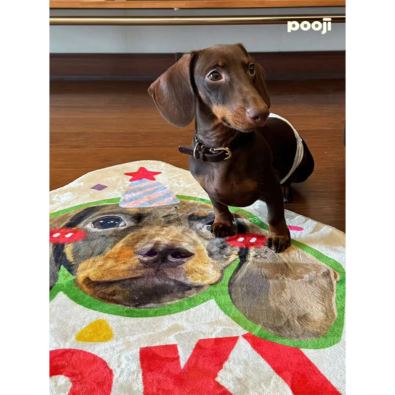 Pooji - Custom Pet Portrait Rug - Silhouette