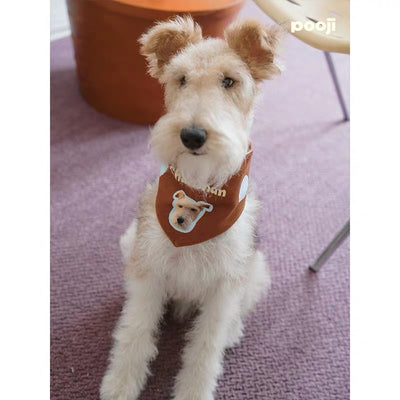 Pooji - Custom Pet Bandana Bib