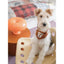 Pooji - Custom Pet Bandana Bib