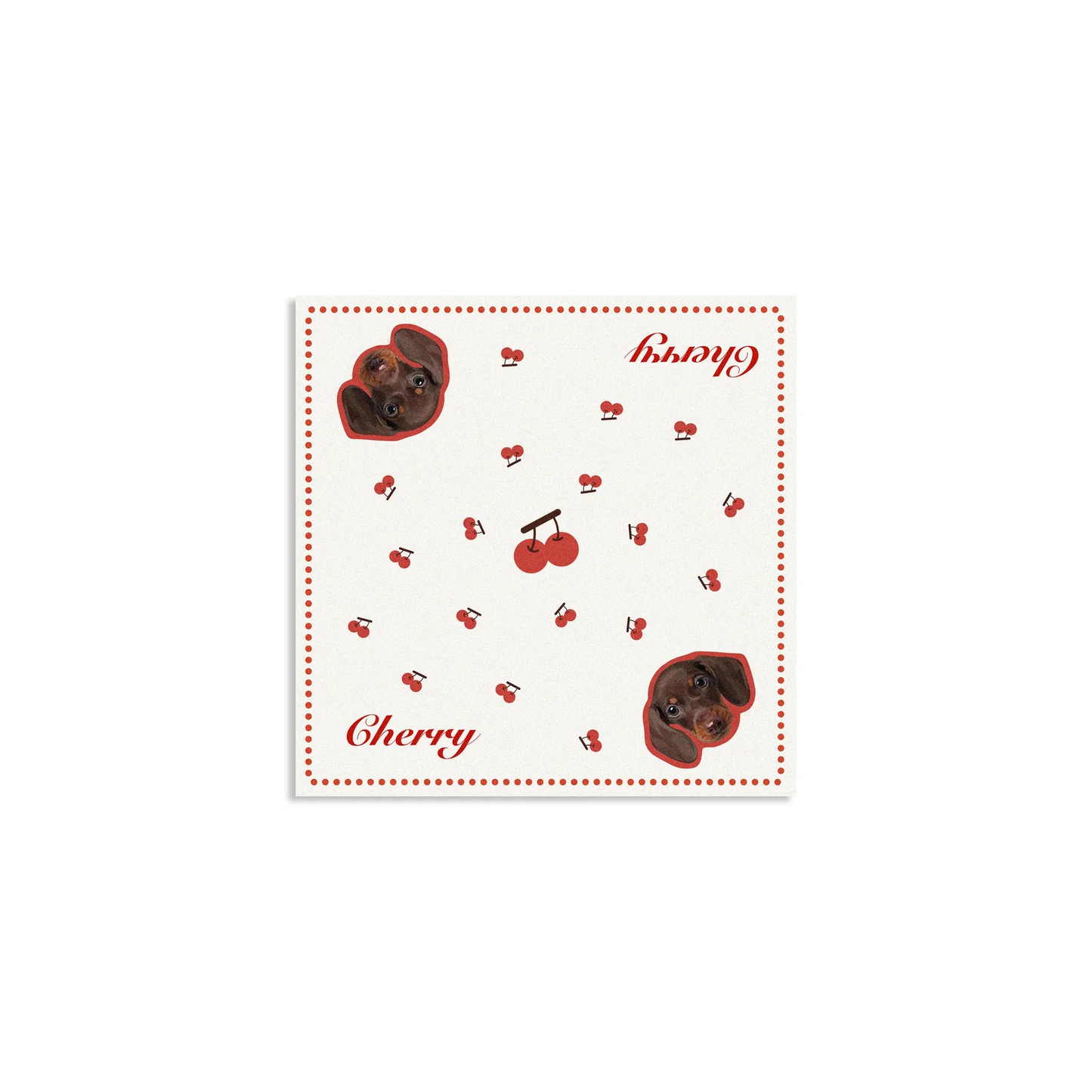 Pooji - Custom Pet Art Scarf