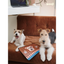 Pooji - Custom Pet Desk Mat Mouse Mat