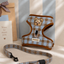 Pooji - Pet Customize Harnesses Pet Collar Set