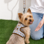 Pooji - Pet Customize Harnesses Pet Collar Set
