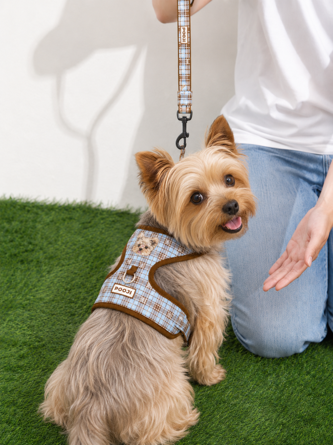 Pooji - Pet Customize Harnesses Pet Collar Set