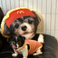 Pooji - Custom Pet Portrait Pillow