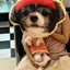 Pooji - Custom Pet Portrait Pillow