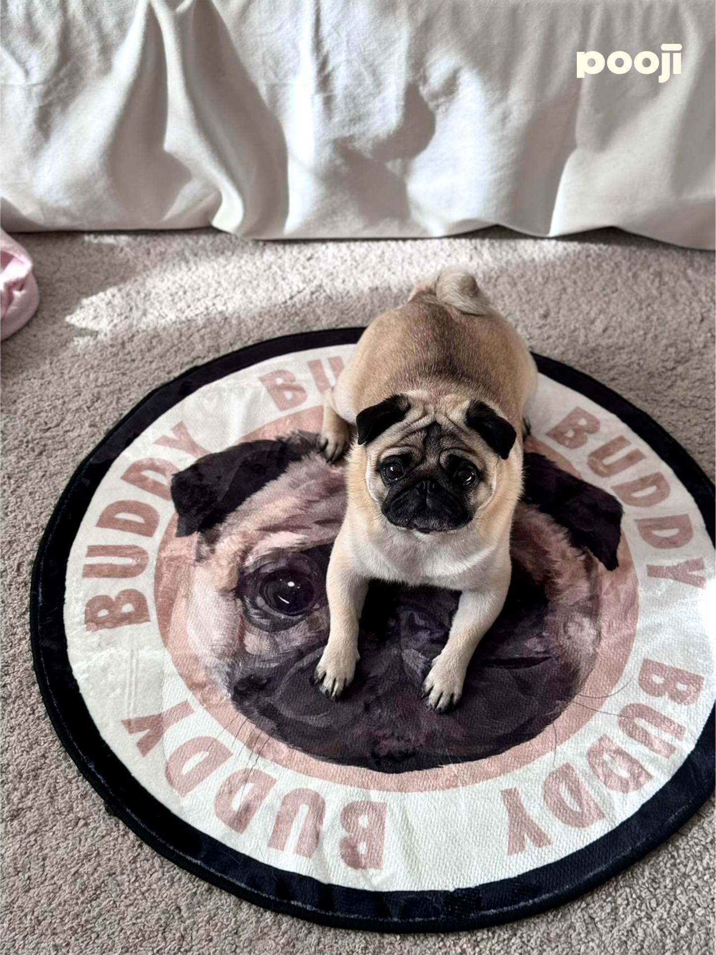 Pooji - Custom Pet Portrait Rug - Round
