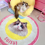 Pooji - Custom Pet Portrait Rug - Round