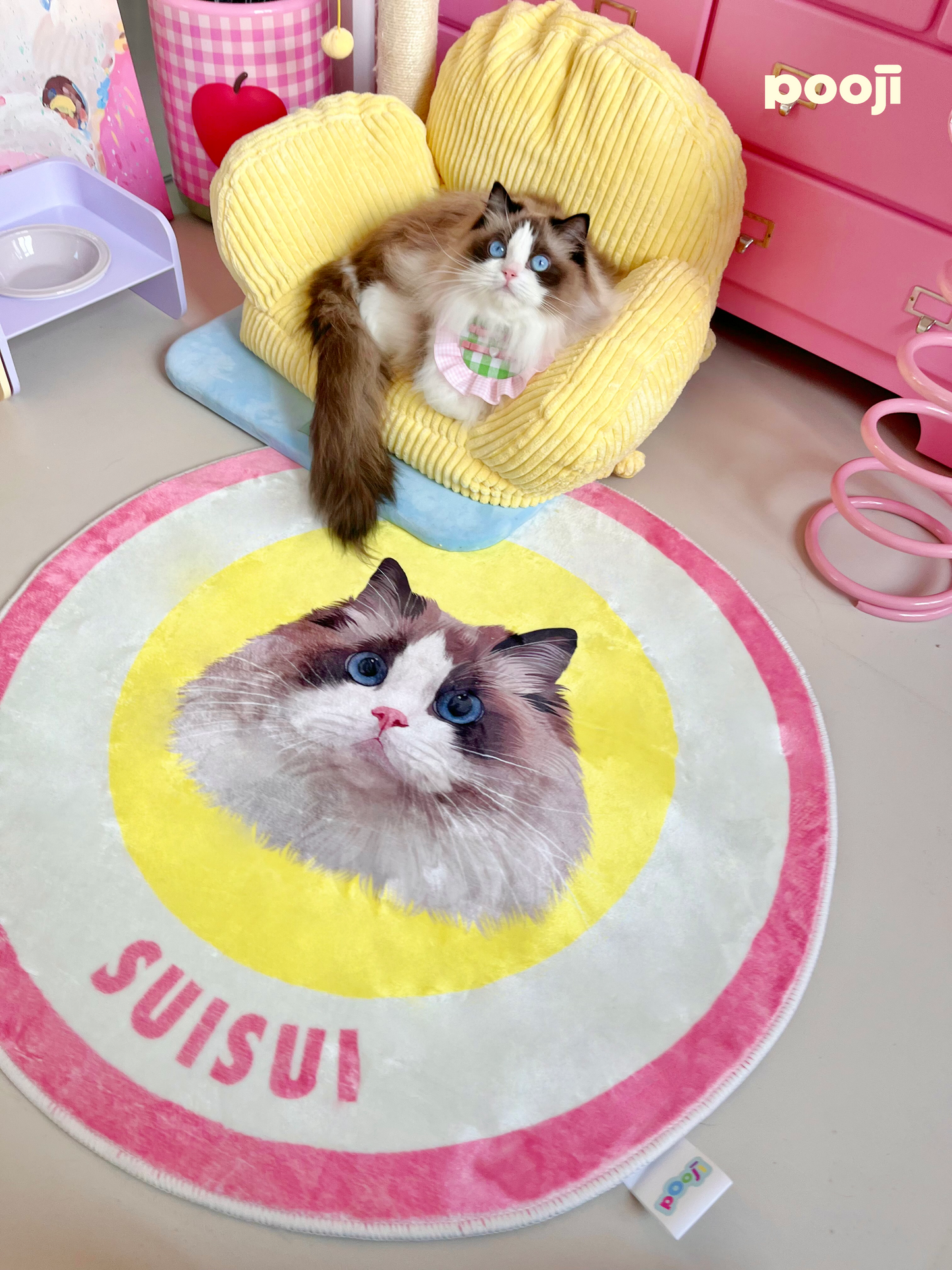 Pooji - Custom Pet Portrait Rug - Round