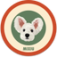 Pooji - Custom Pet Portrait Rug - Round