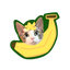 Pooji - Custom Pet Portrait Pillow
