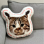 Pooji - Custom Pet Portrait Pillow