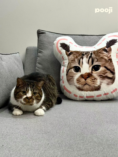Pooji - Custom Pet Portrait Pillow