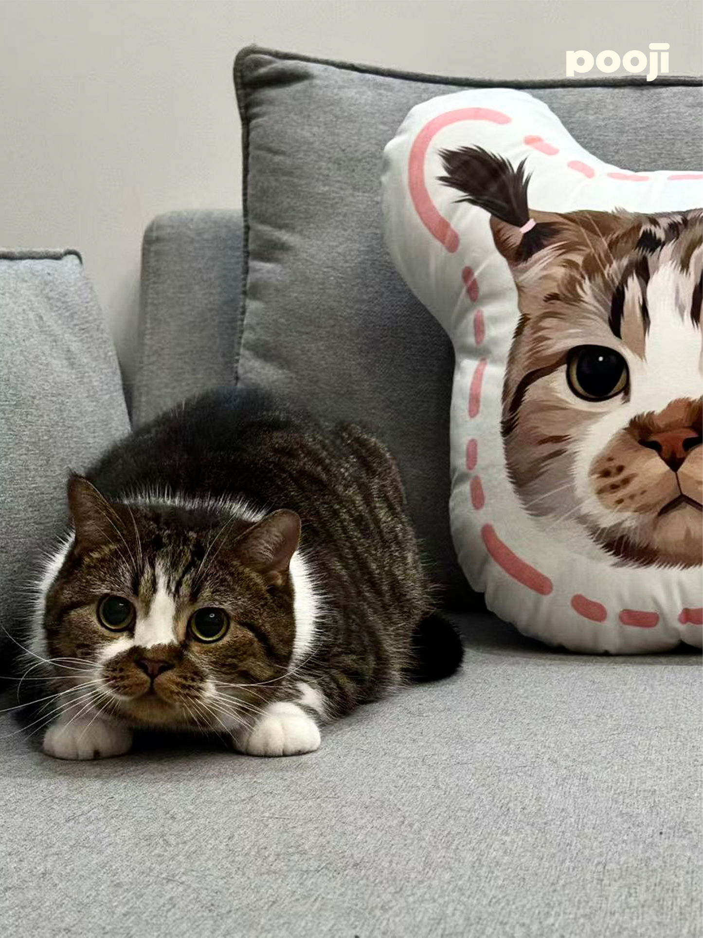 Pooji - Custom Pet Portrait Pillow