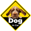 Pooji - Custom Pet Car Deca