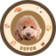 Pooji - Custom Pet Portrait Rug - Round