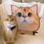 Pooji - Custom Pet Printed Blanket