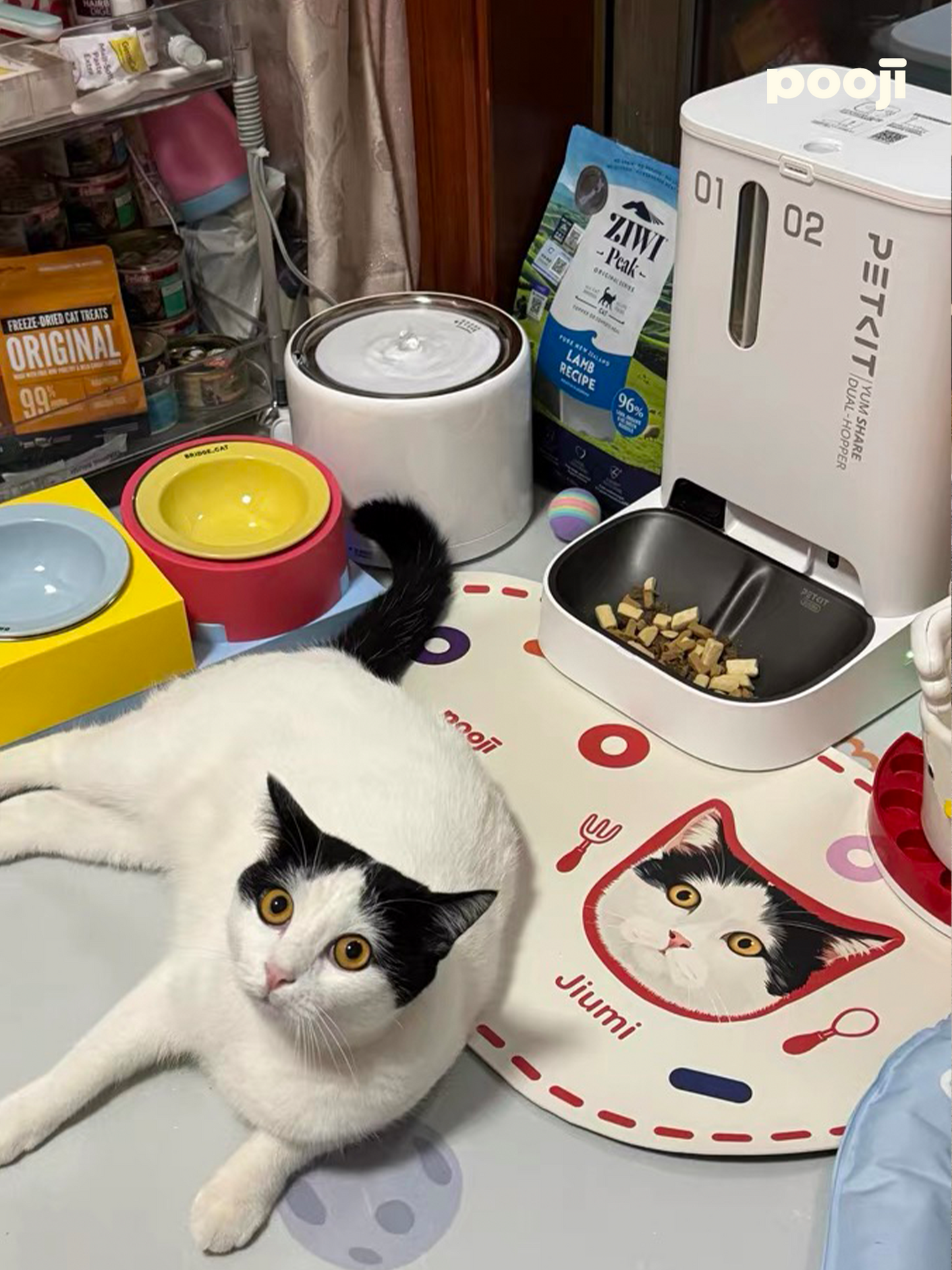 Pooji - Custom Pet Placemat Table Mat