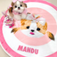 Pooji - Custom Pet Portrait Rug - Round