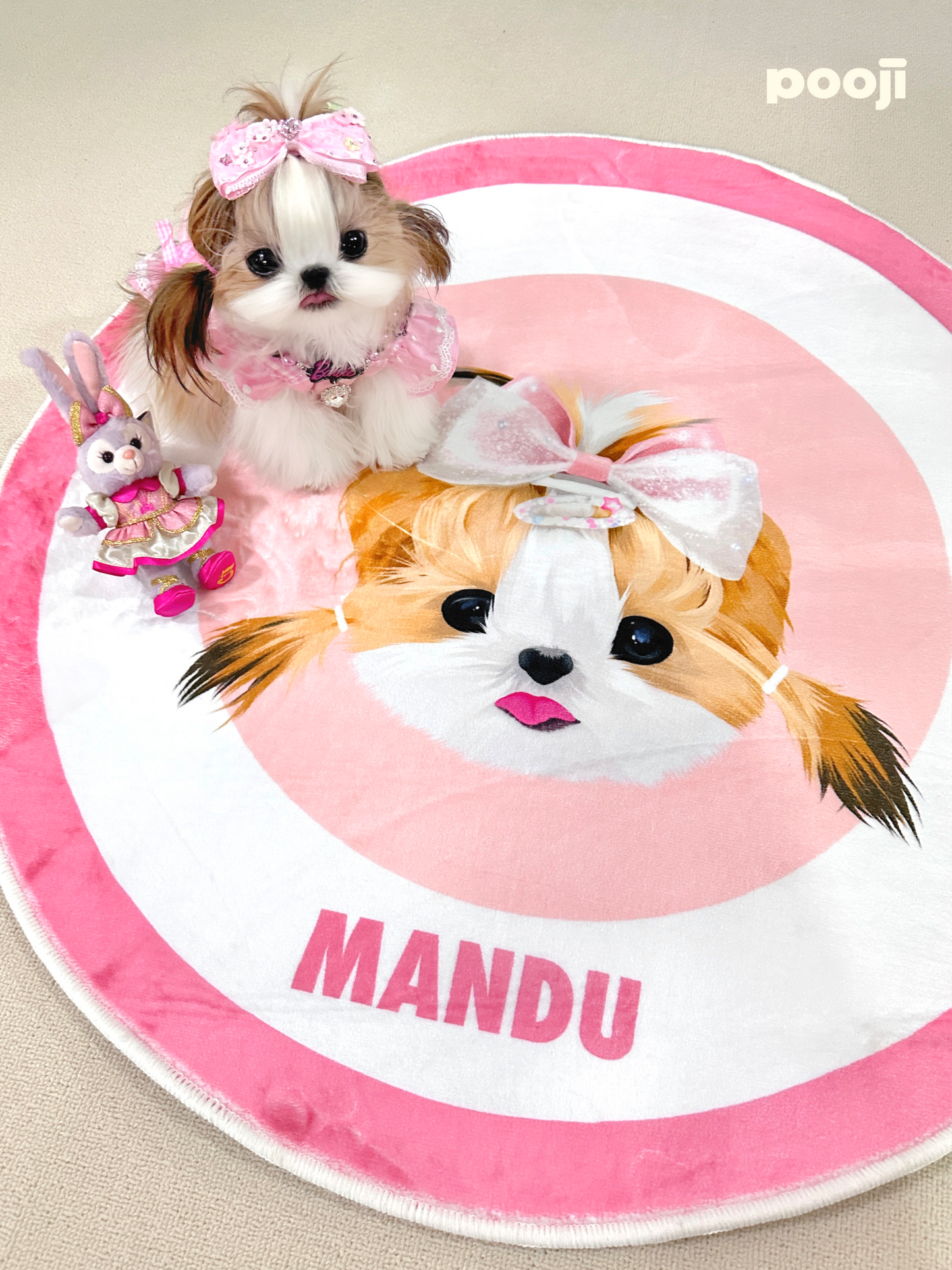 Pooji - Custom Pet Portrait Rug - Round
