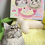 Pooji - Custom Pet Framed Giclee Art - Square