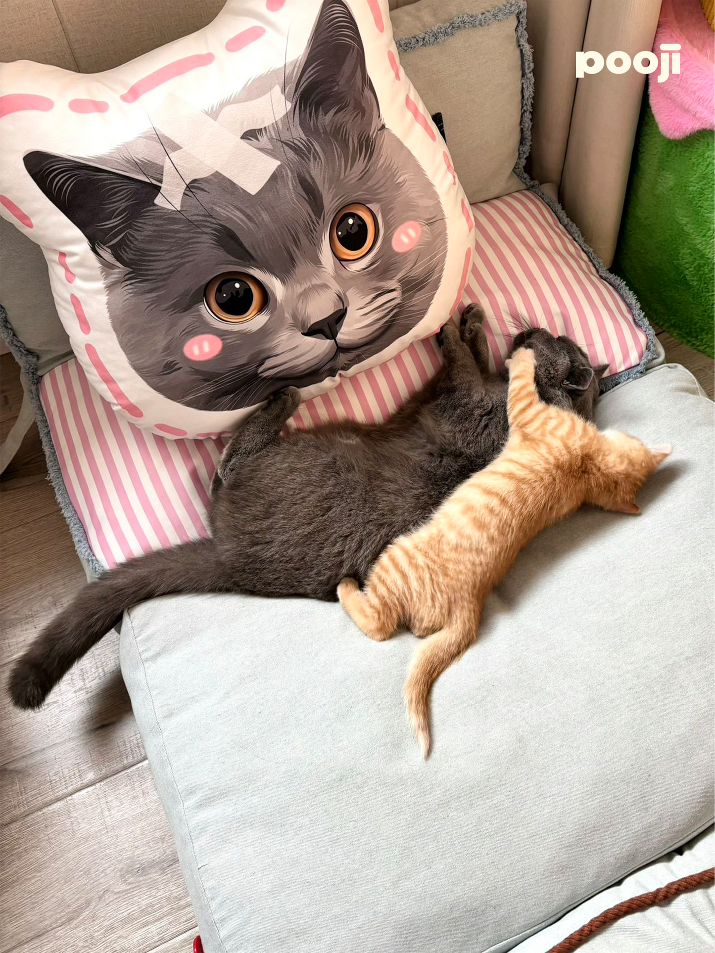 Pooji - Custom Pet Portrait Pillow