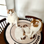 Pooji - Custom Pet Portrait Rug - Round